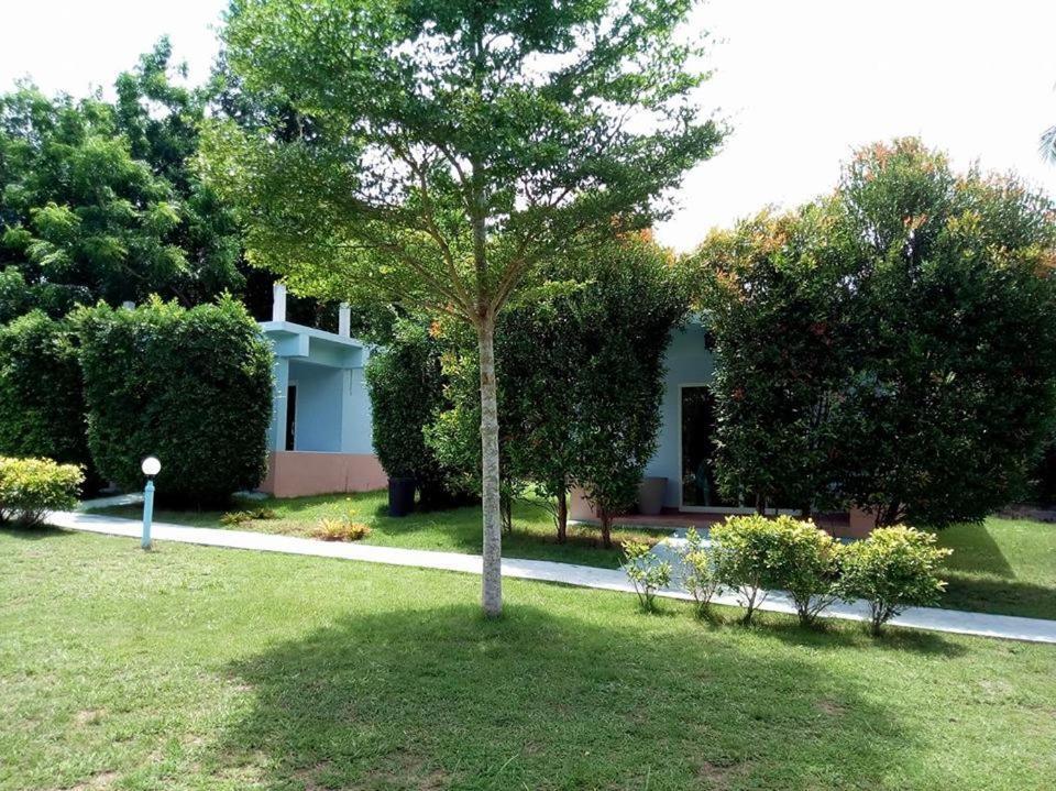 Atmyhomestay Bangsaphan Bang Saphan Exteriör bild